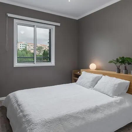 Flh Funchal Nature Flat With Balcony Exterior photo