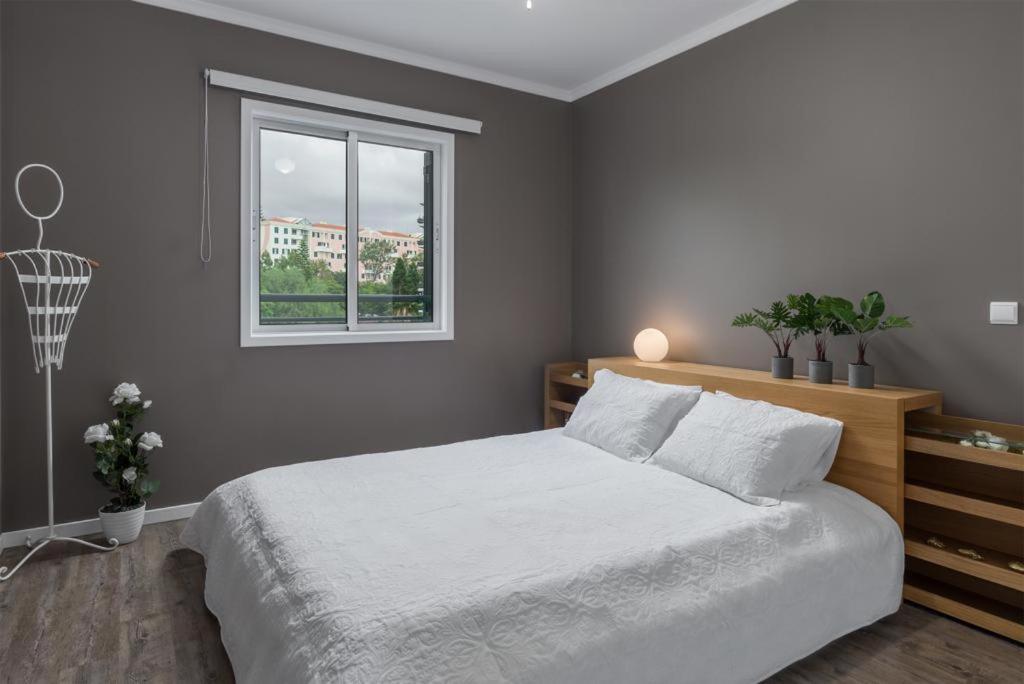 Apartamento Flh Nature Flat With Balcony *